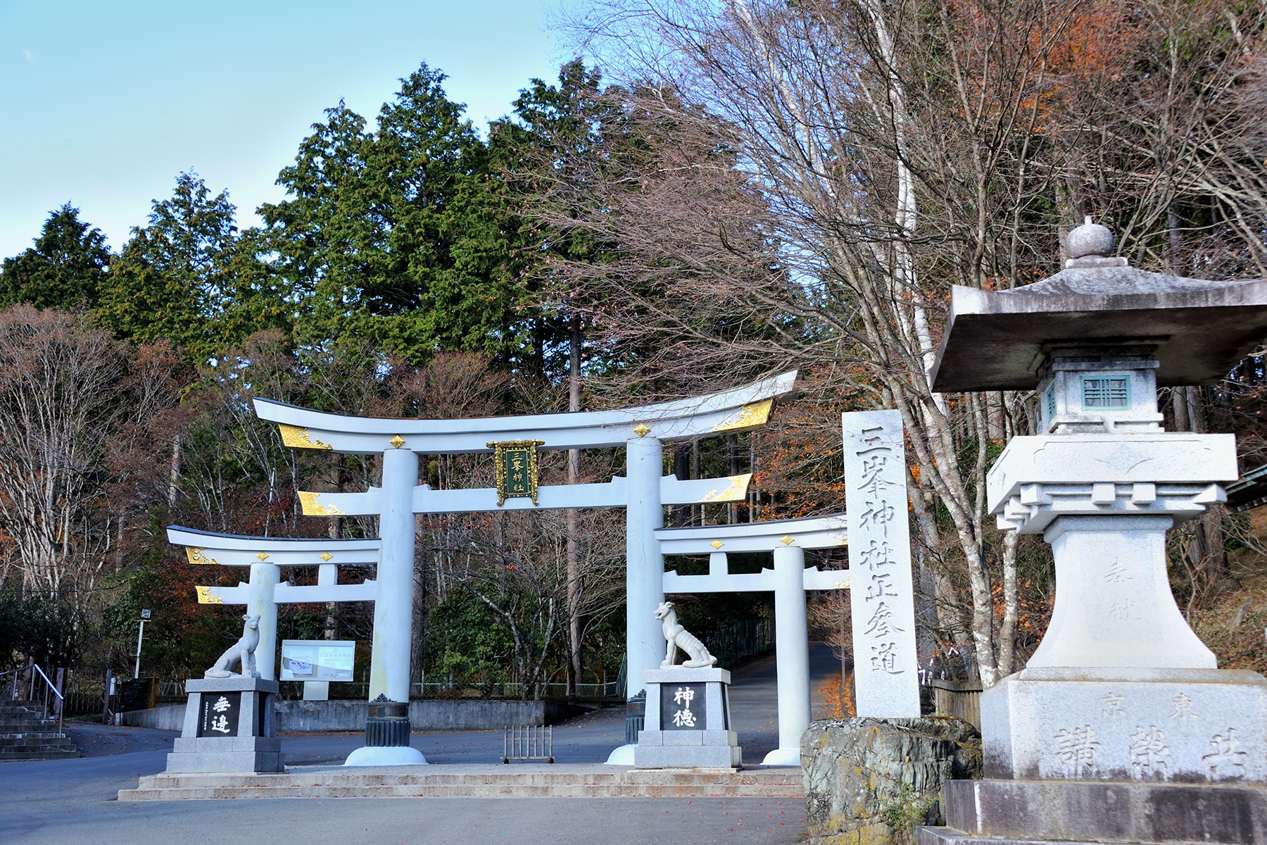 モミジ（紅葉） 秩父三峯神社