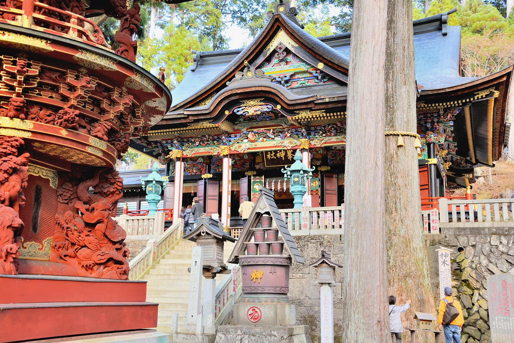 モミジ（紅葉） 秩父三峯神社