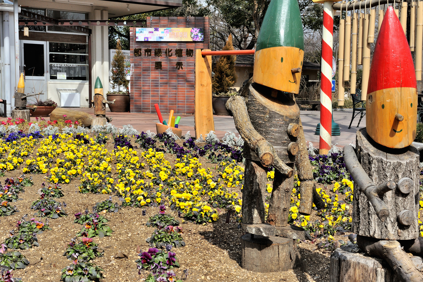 早春の草花 国営武蔵丘陵森林公園