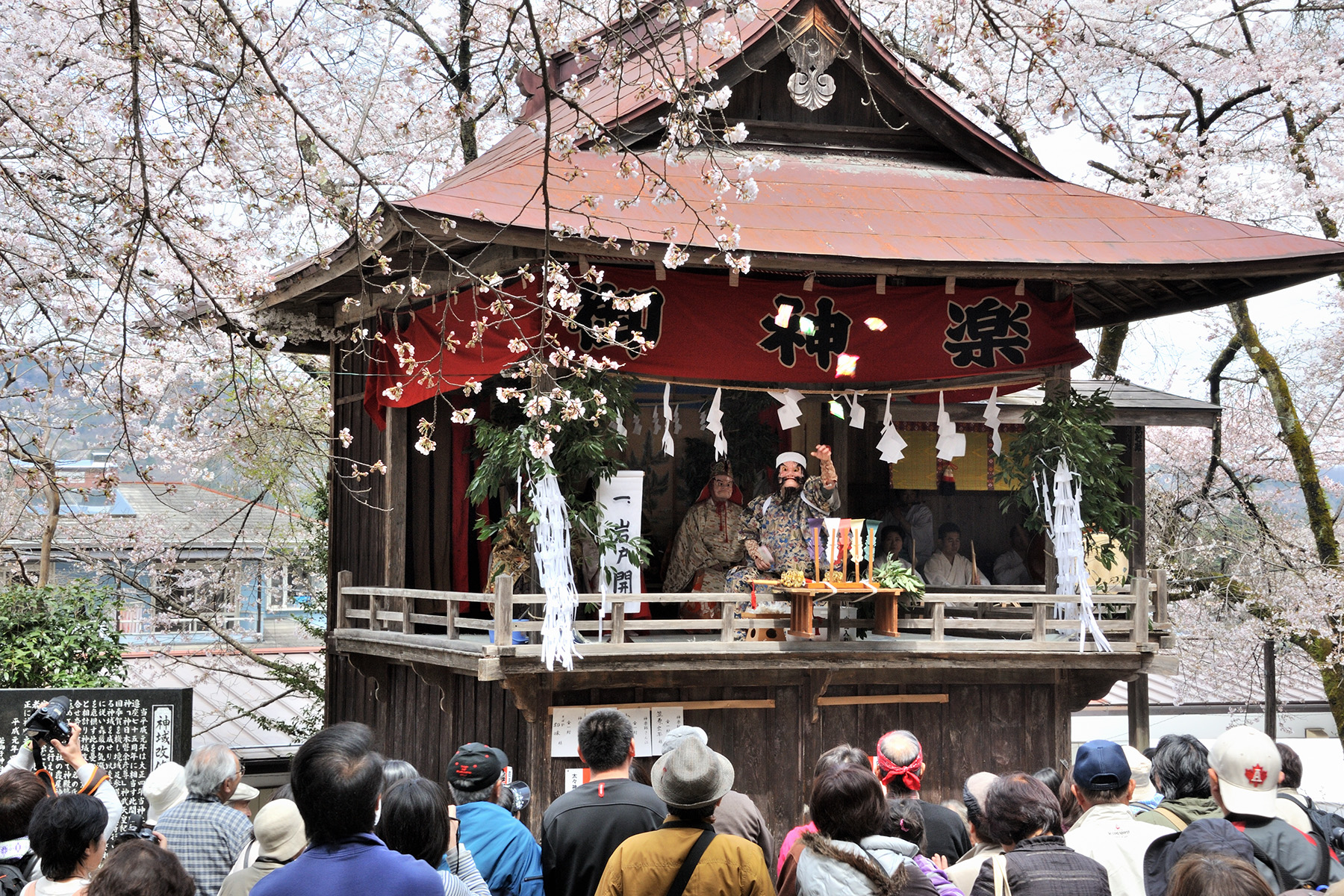 清雲寺の枝垂れ桜