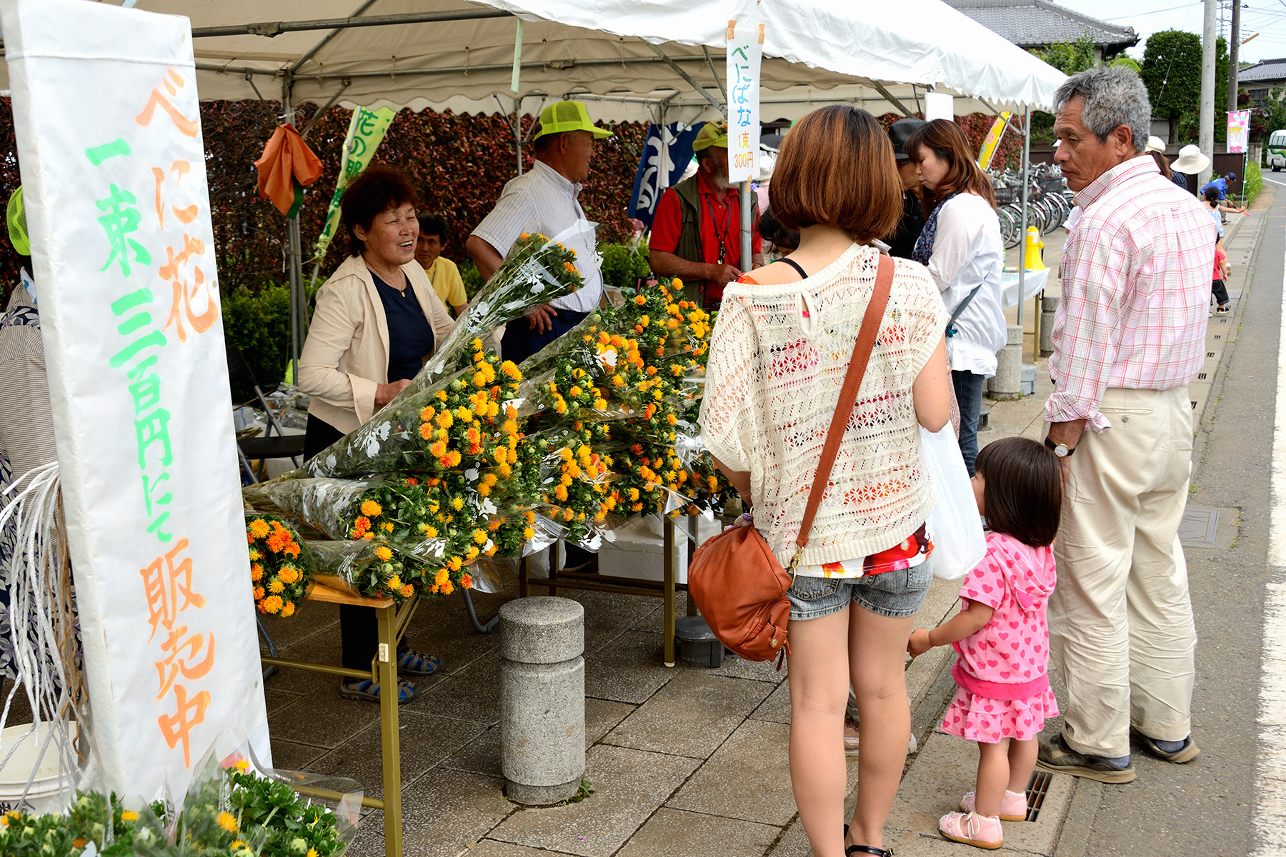 べに花祭り べに花ふるさと館