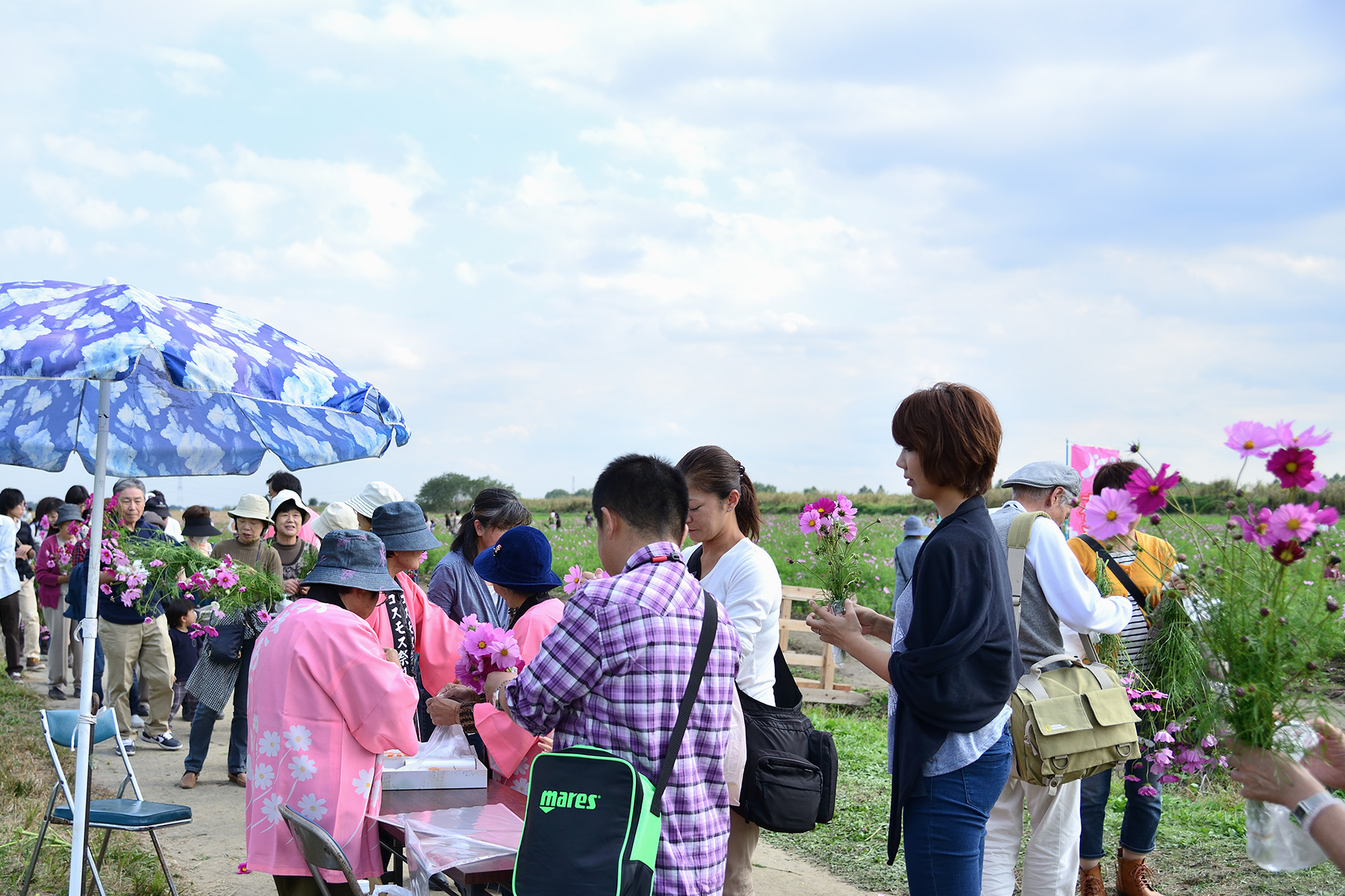 鴻巣コスモスフェスティバル コスモスアリーナ周辺