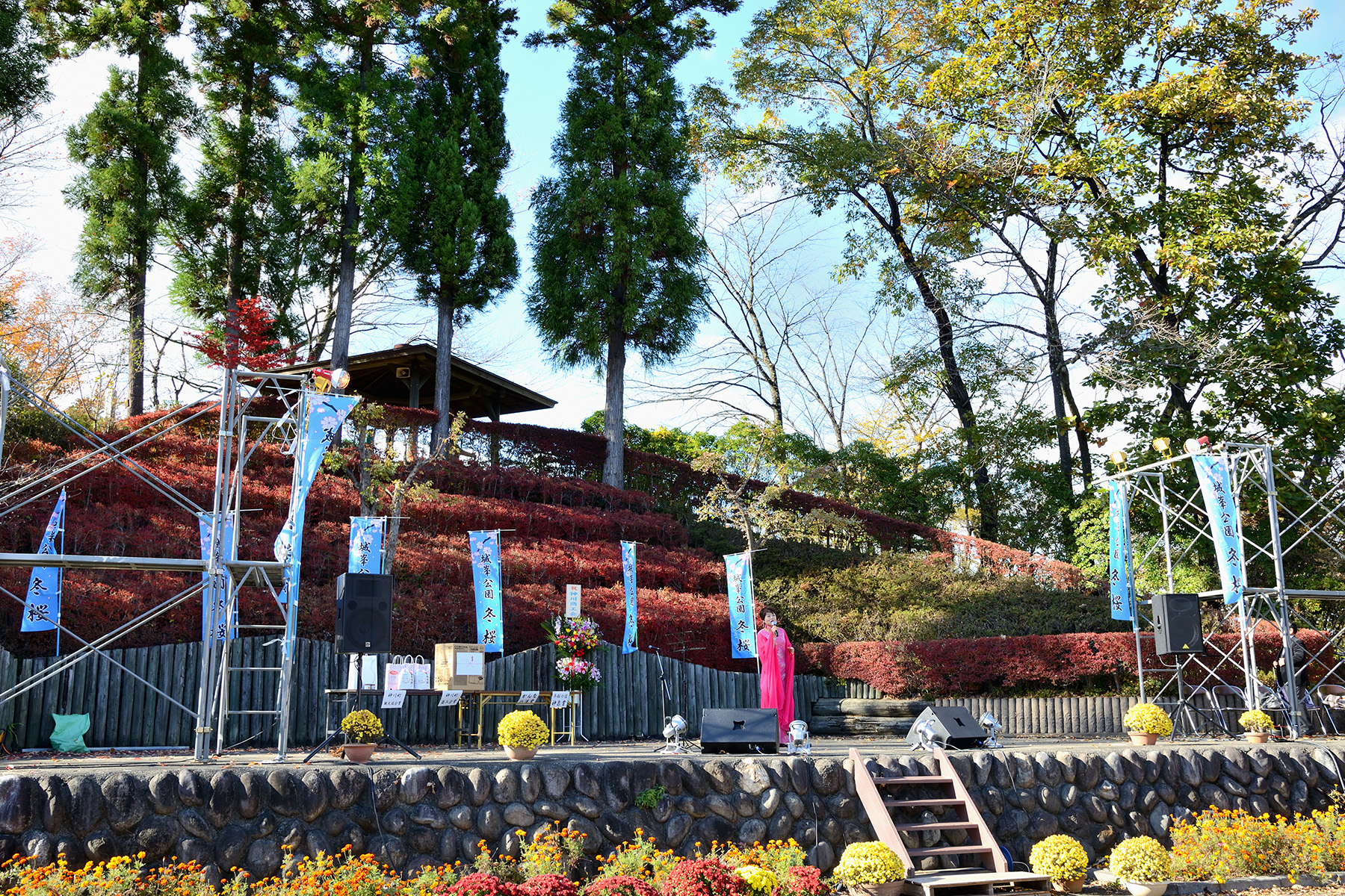 紅葉と冬桜 城峯公園