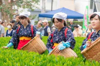 八十八夜新茶まつり