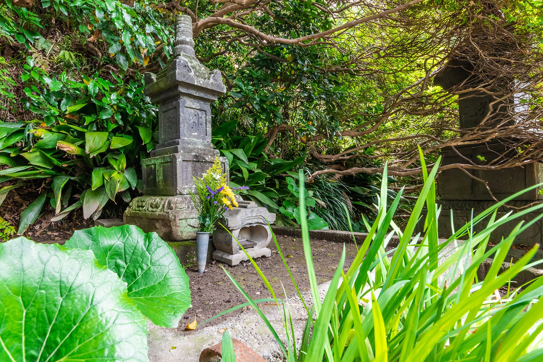 坂東札所　第３番【祇園山・安養院田代寺】