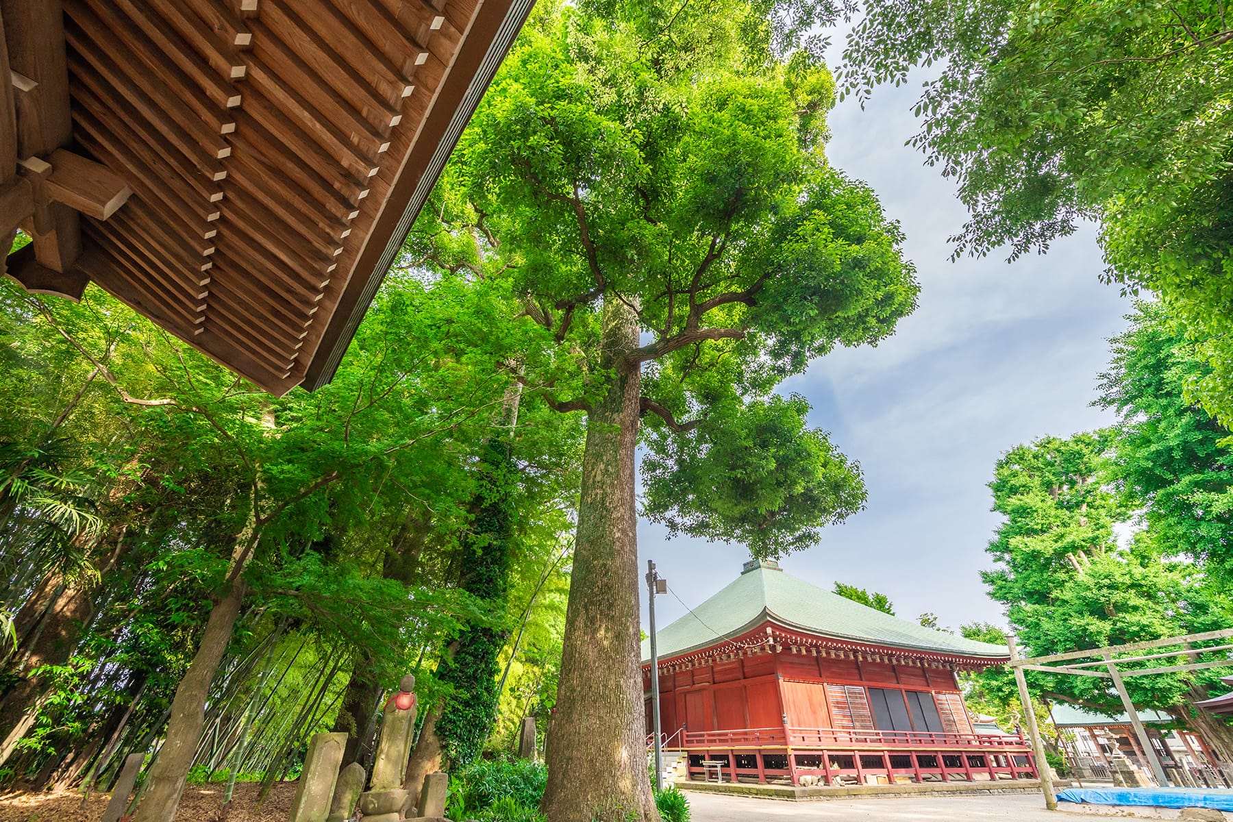 坂東札所　第５番【飯泉山・勝福寺】