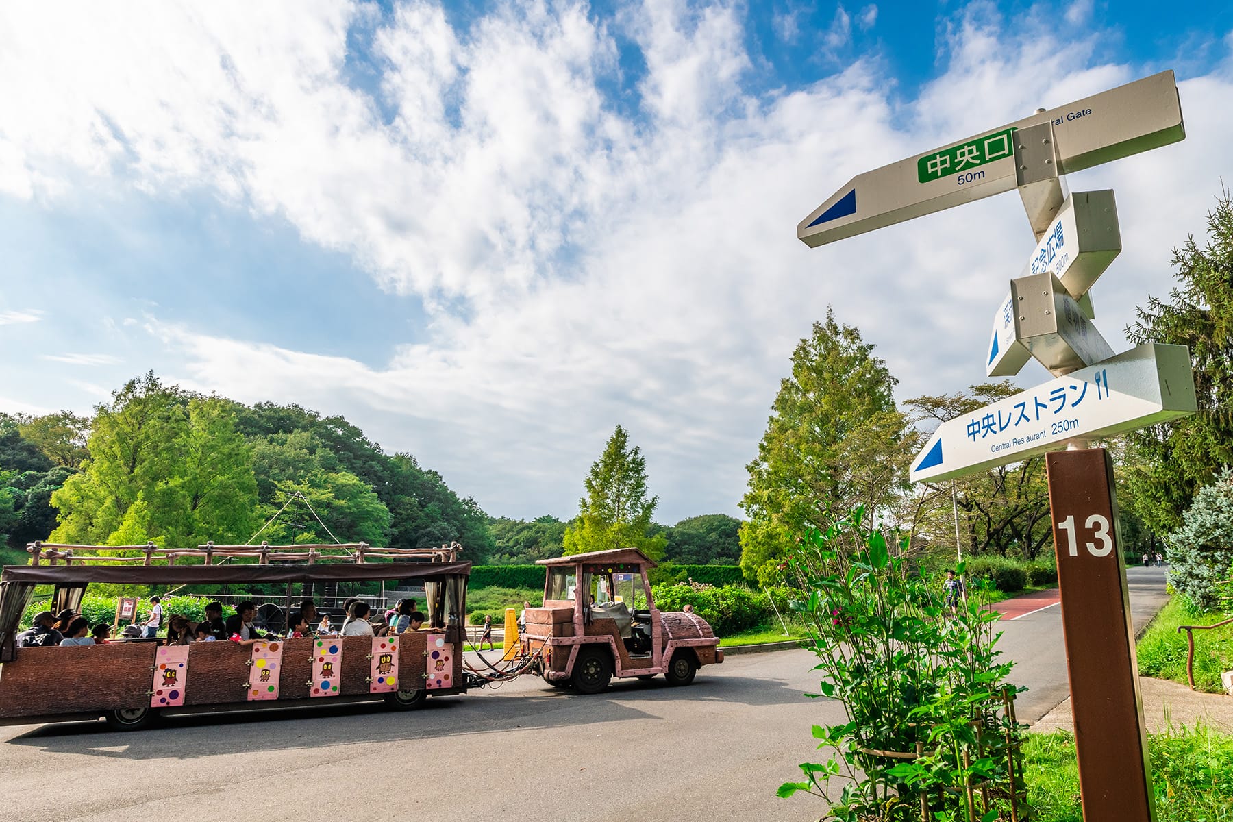 羽毛ゲイトウ【森林公園：埼玉県比企郡滑川町】