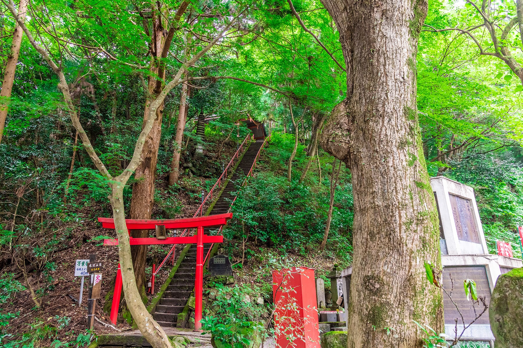 坂東札所　第１６番　【五徳山・水澤寺】