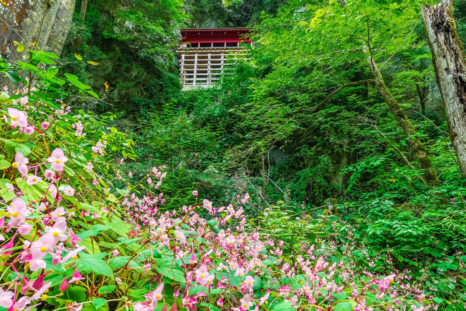 坂東札所　第１７番　【出流山・満願寺】