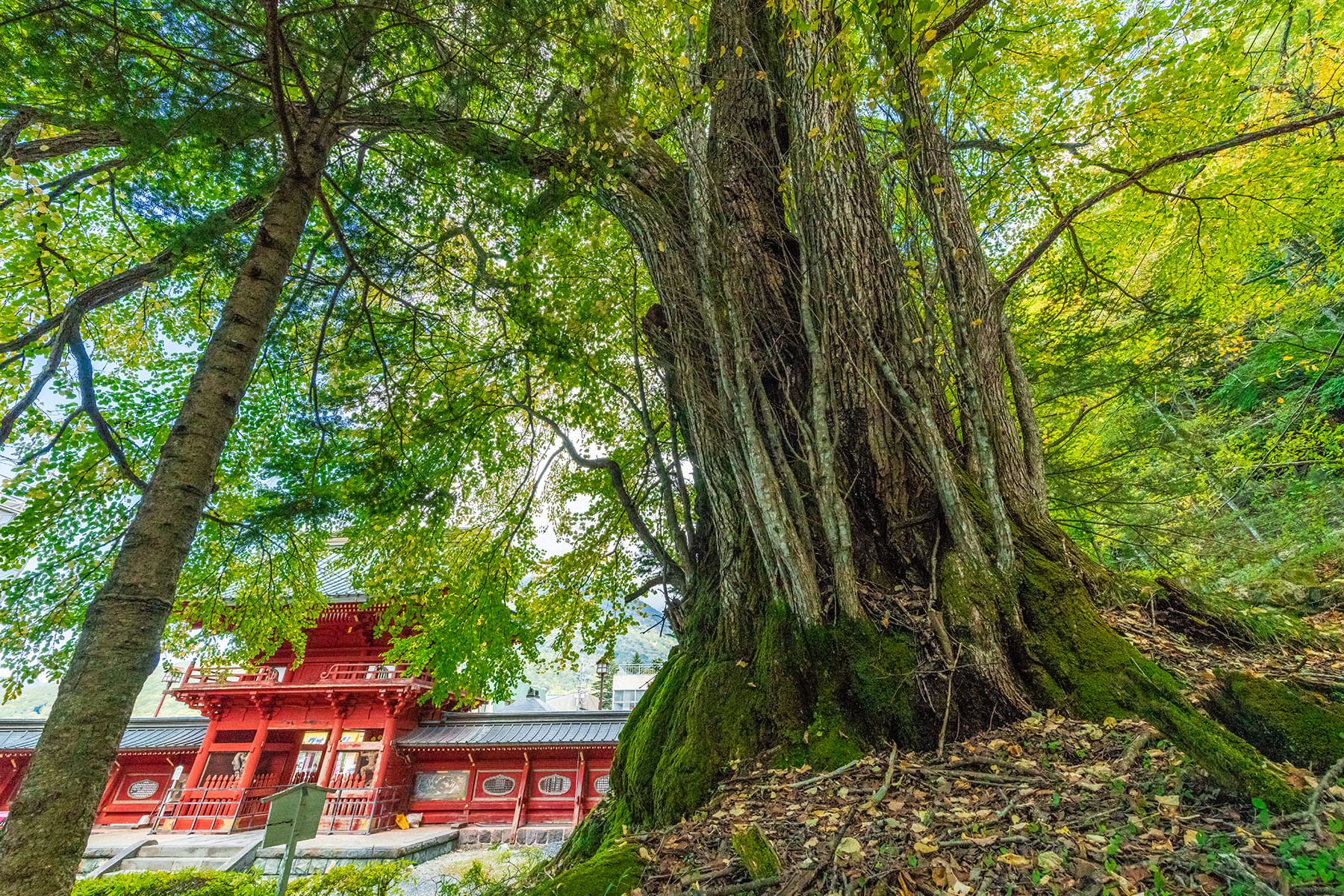 坂東札所　第１８番　【日光山・中禅寺】