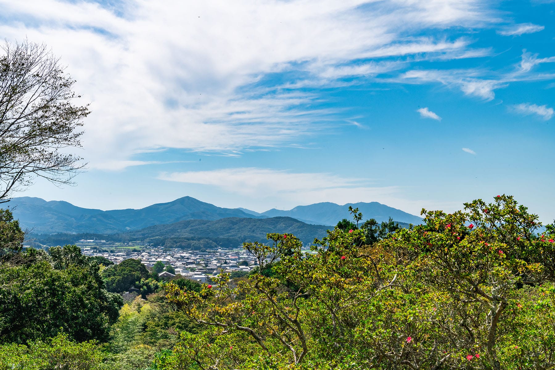 坂東札所　第２３番　【佐白山・正福寺】