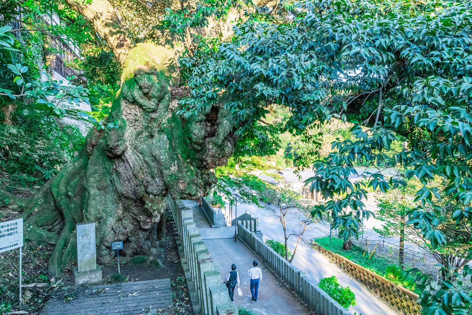 坂東札所　第２４番　【雨引山・楽法寺】