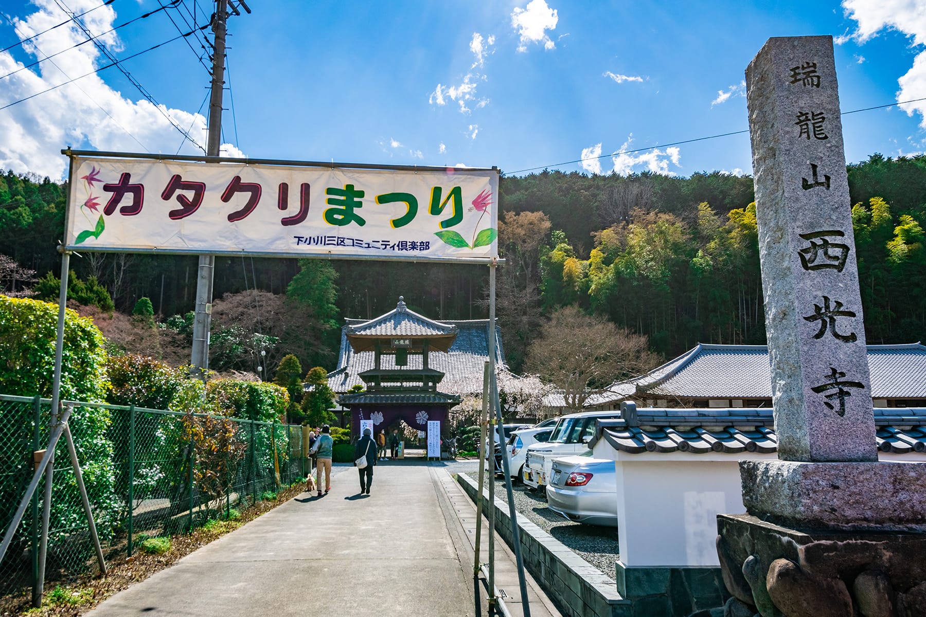 カタクリの自生地 | フォトさいたま