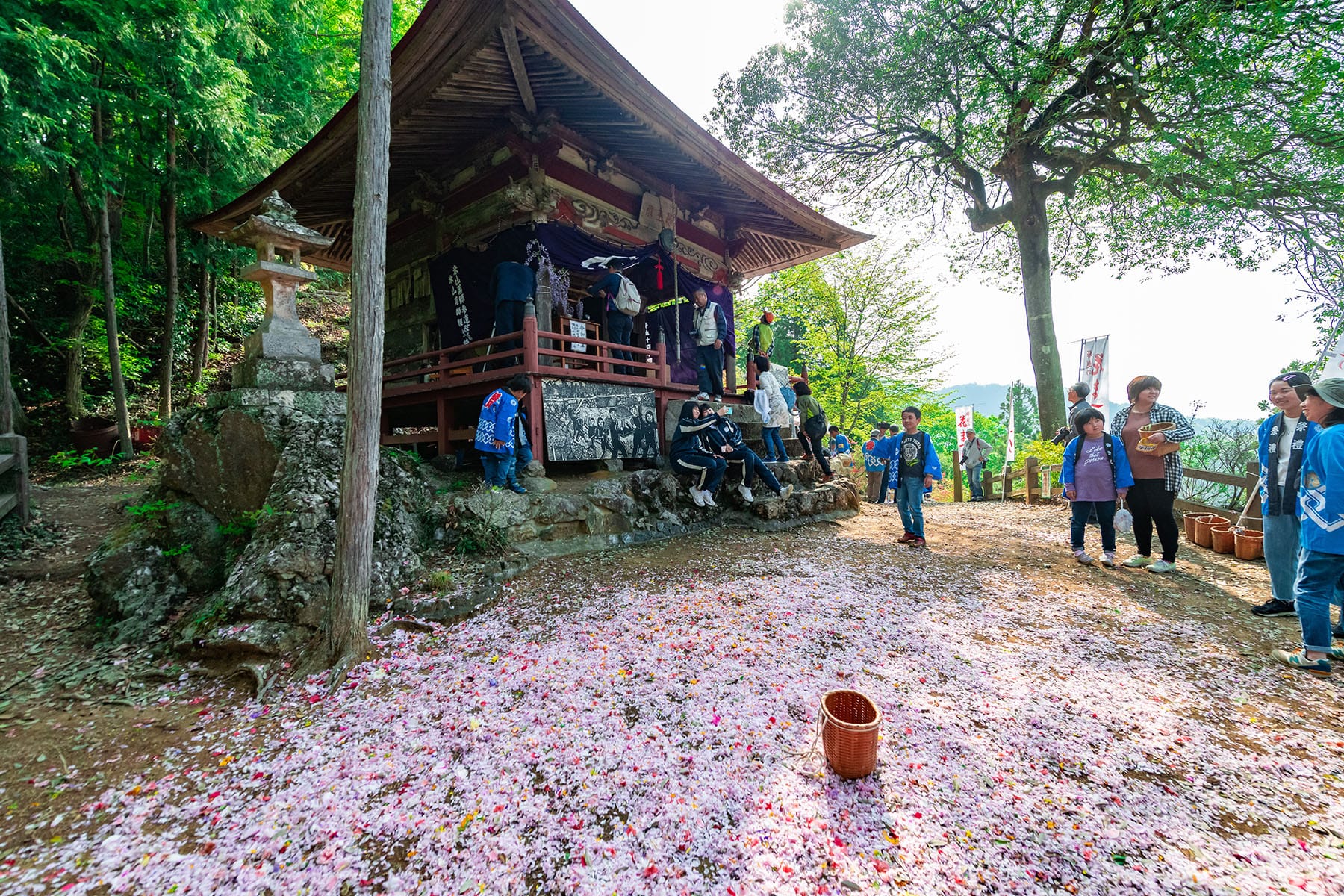 塚越の花まつり（米山薬師堂） フォトさいたま