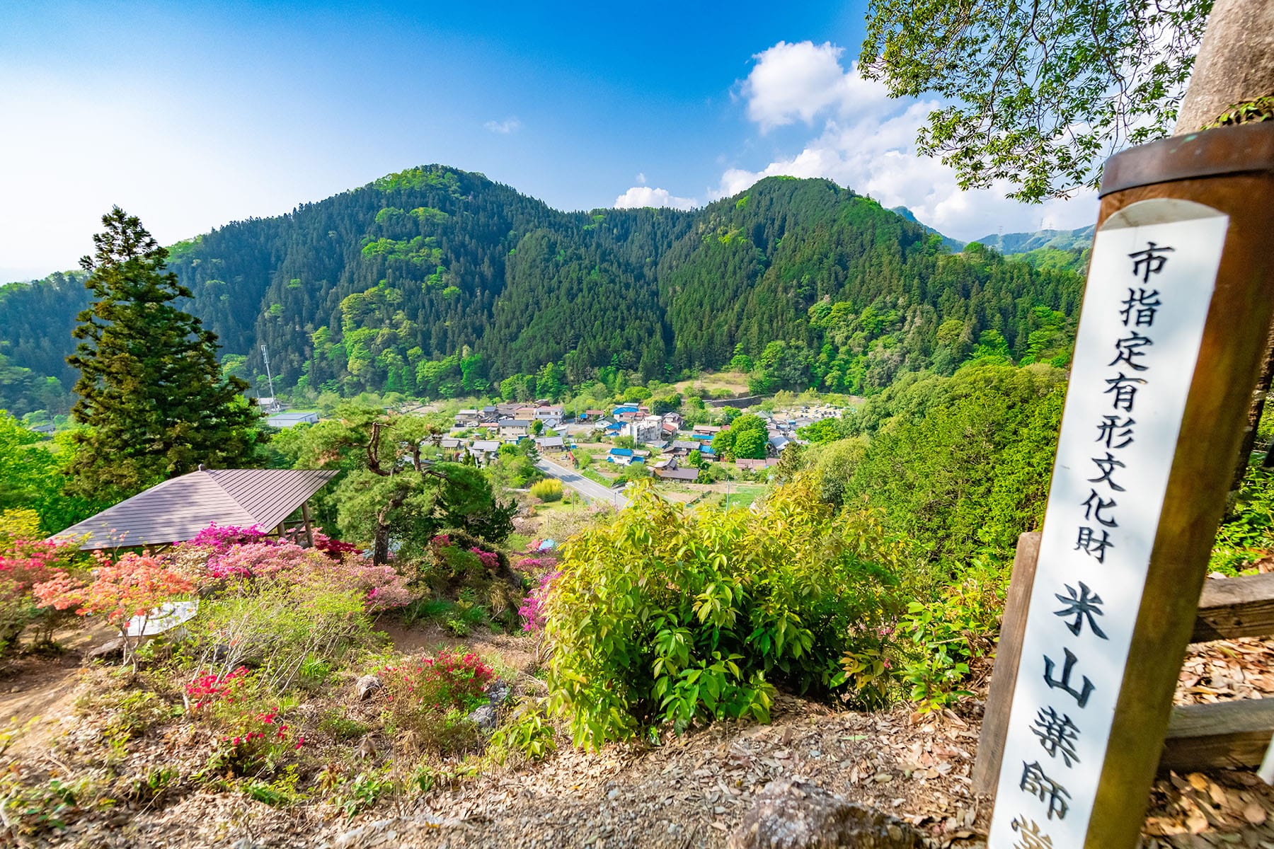 塚越の花まつり（米山薬師堂） フォトさいたま