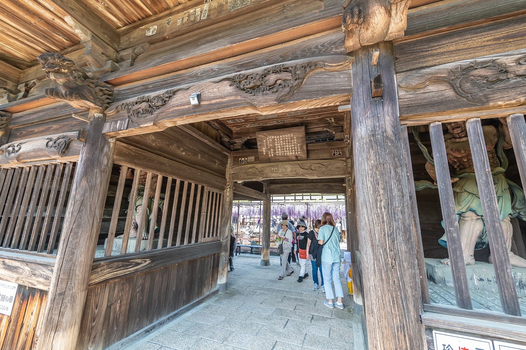 長泉寺のフジ（長泉寺） | フォトさいたま