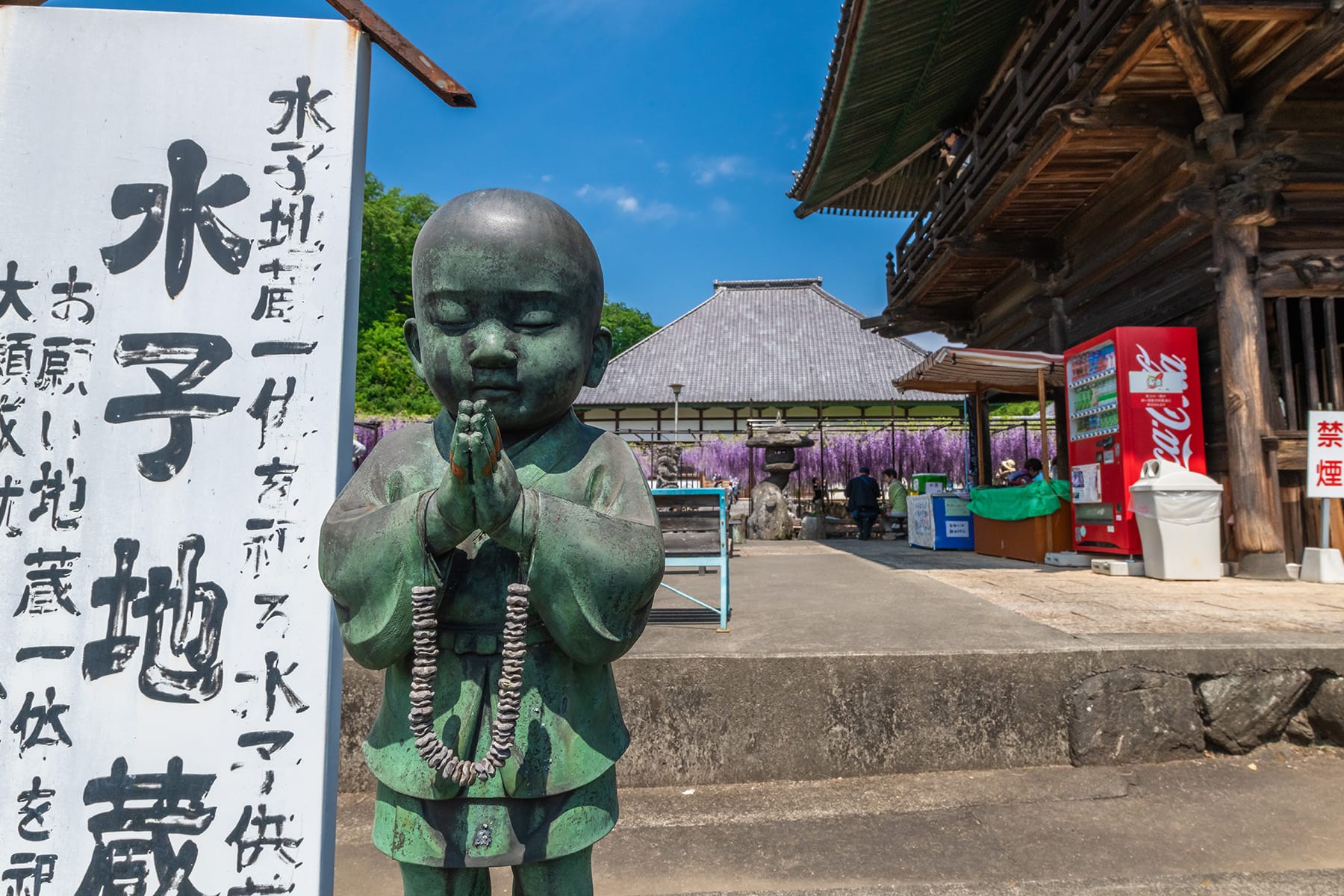 長泉寺のフジ（長泉寺） | フォトさいたま