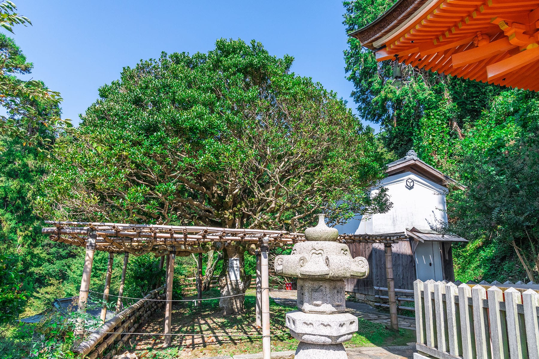 西国札所　第３０番【巌金山・宝厳寺】 | フォトさいたま