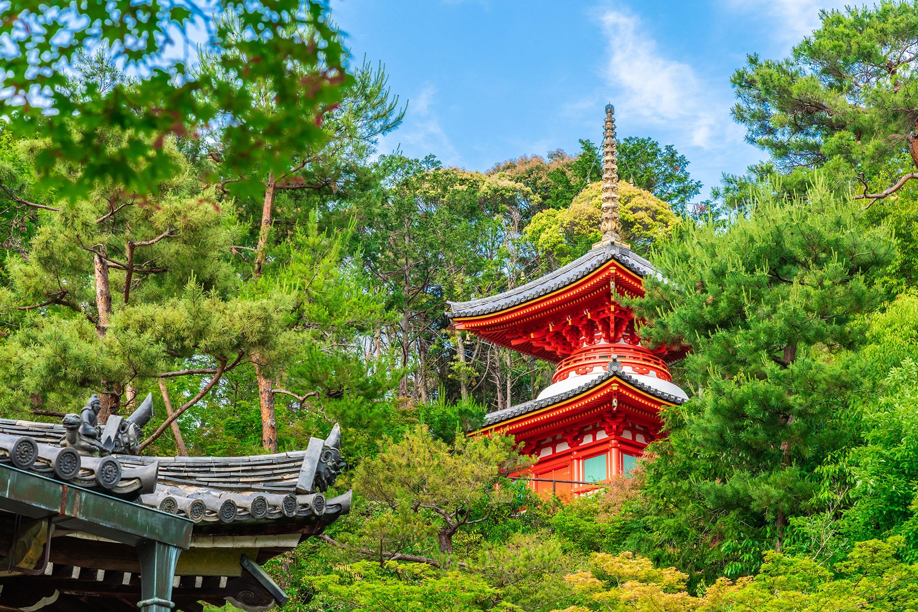 西国札所　第15番【新那智山・観音寺】 | フォトさいたま