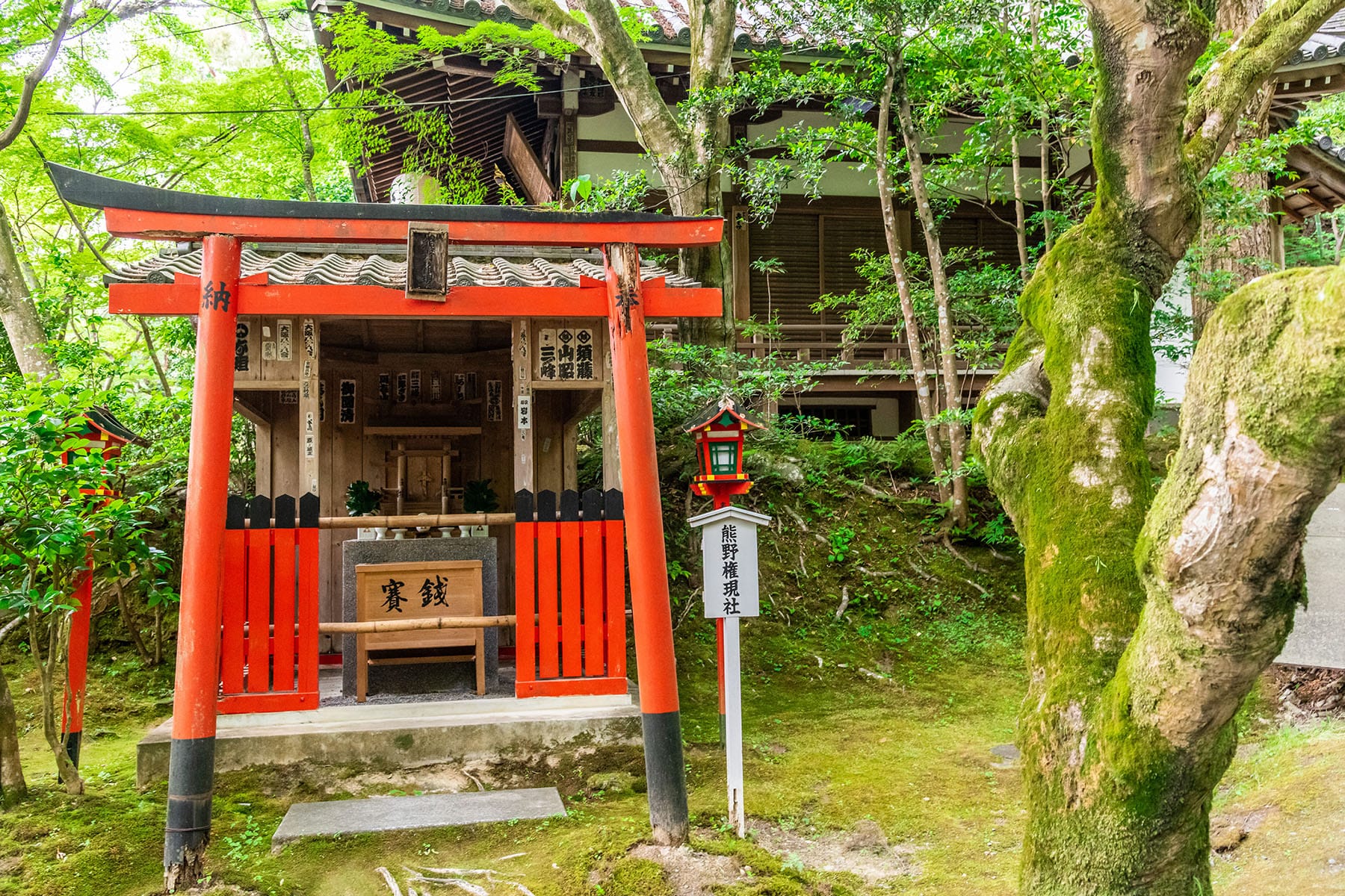 西国札所　第15番【新那智山・観音寺】 | フォトさいたま