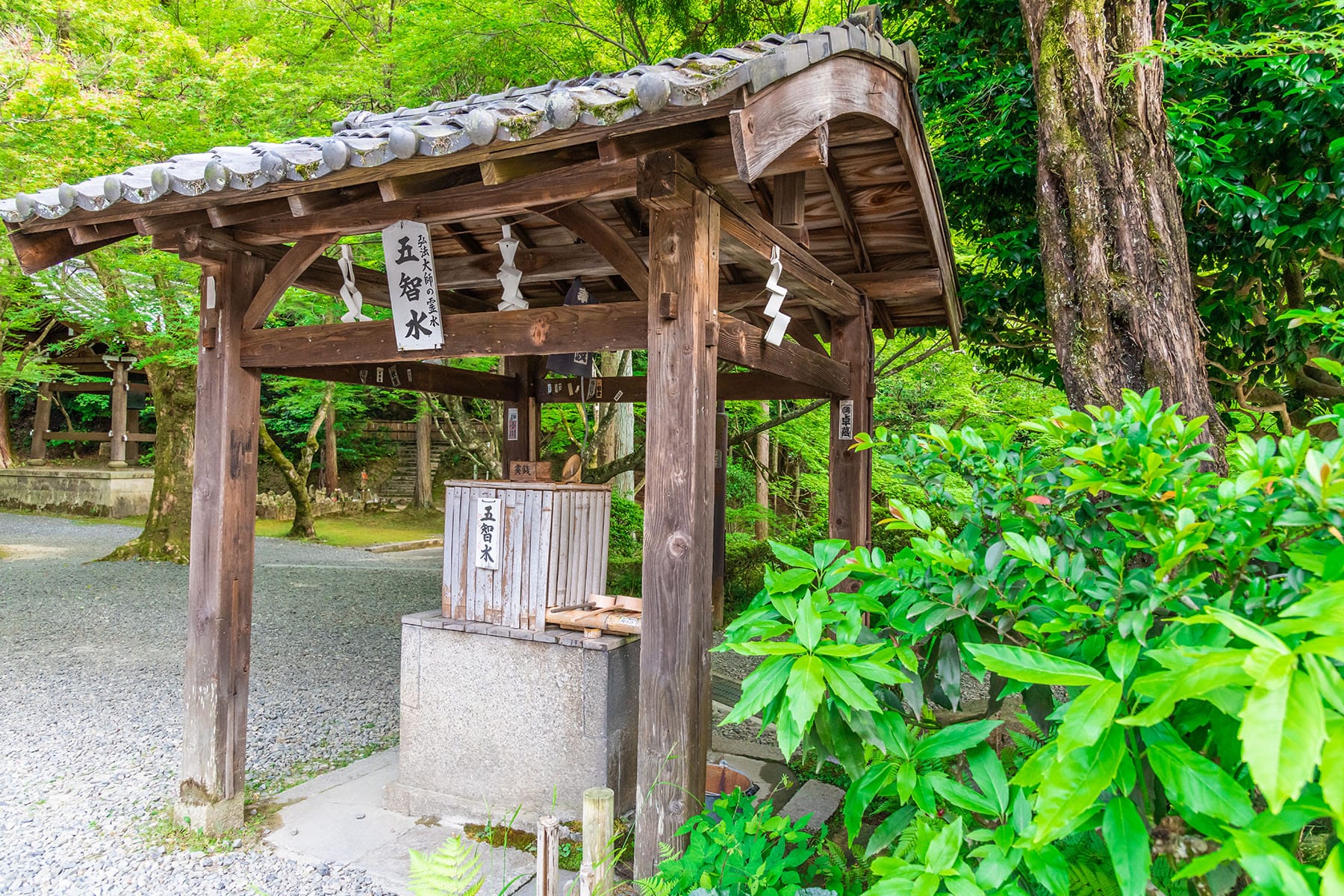 西国札所　第15番【新那智山・観音寺】 | フォトさいたま