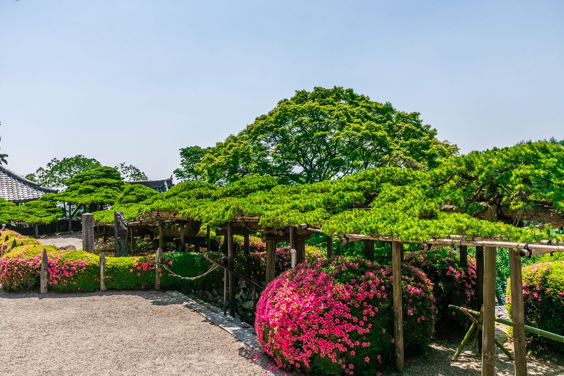 西国札所　第２０番【西山・善峯寺】 | フォトさいたま