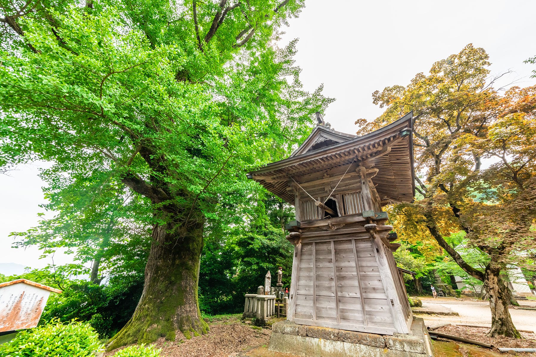 西国札所　第２９番【青葉山・松尾寺】 | フォトさいたま