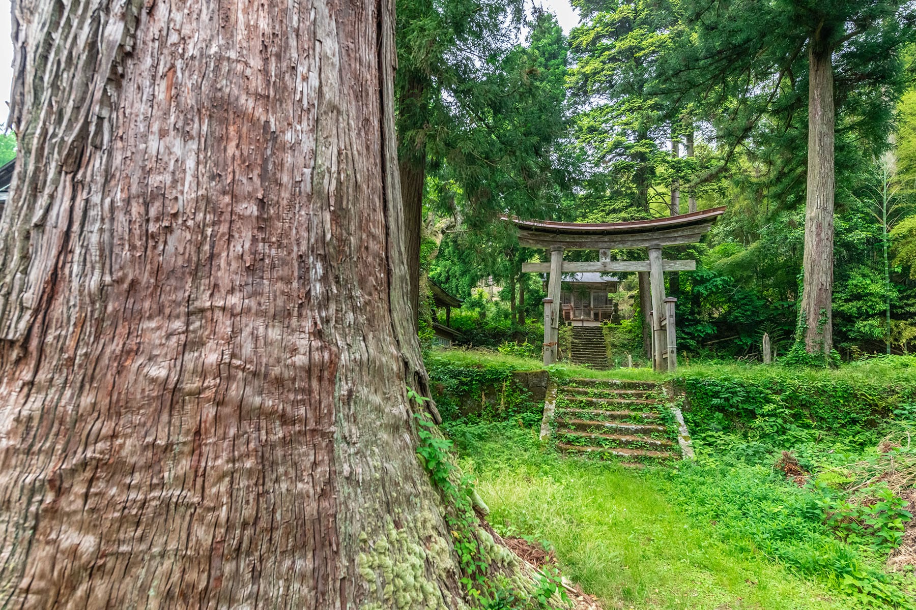 西国札所　第２９番【青葉山・松尾寺】 | フォトさいたま