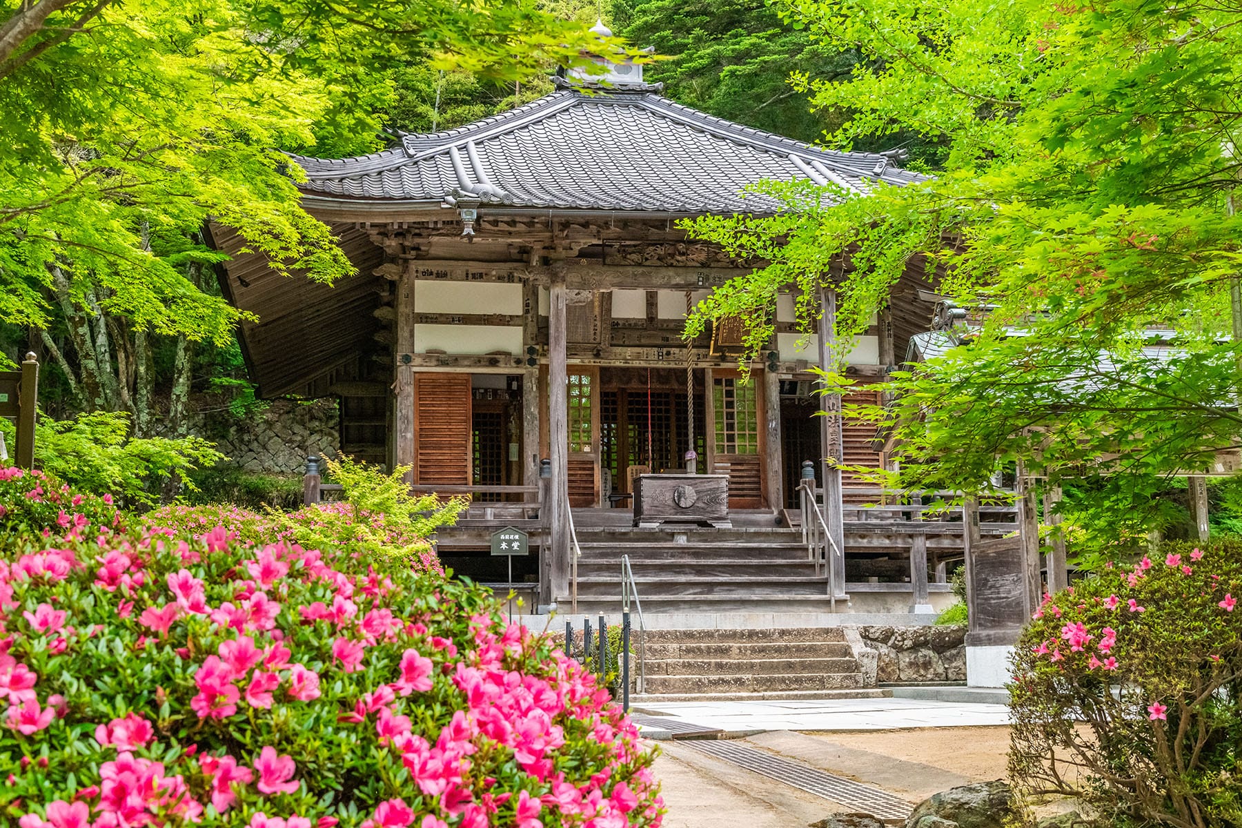 西国札所　番外【東光山・花山院菩提寺】 | フォトさいたま