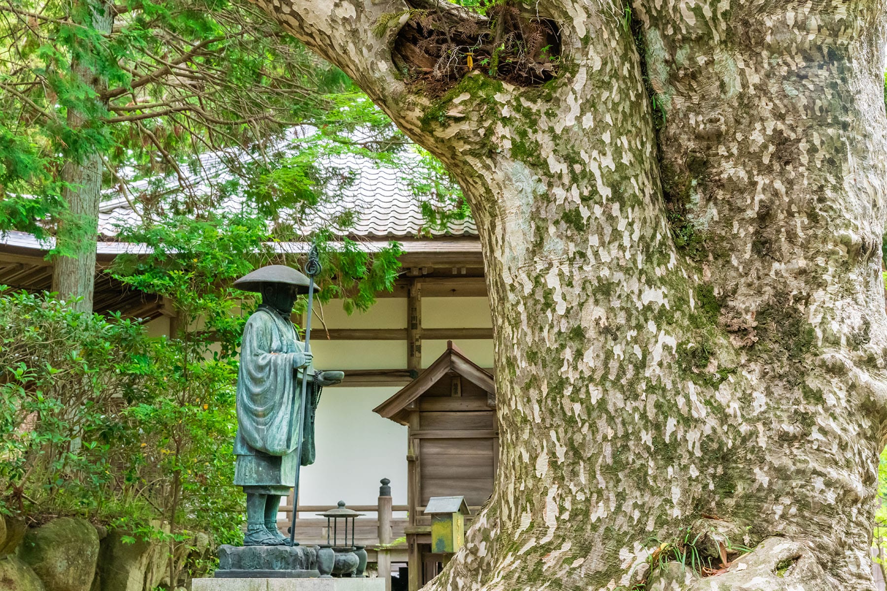 西国札所　番外【東光山・花山院菩提寺】 | フォトさいたま