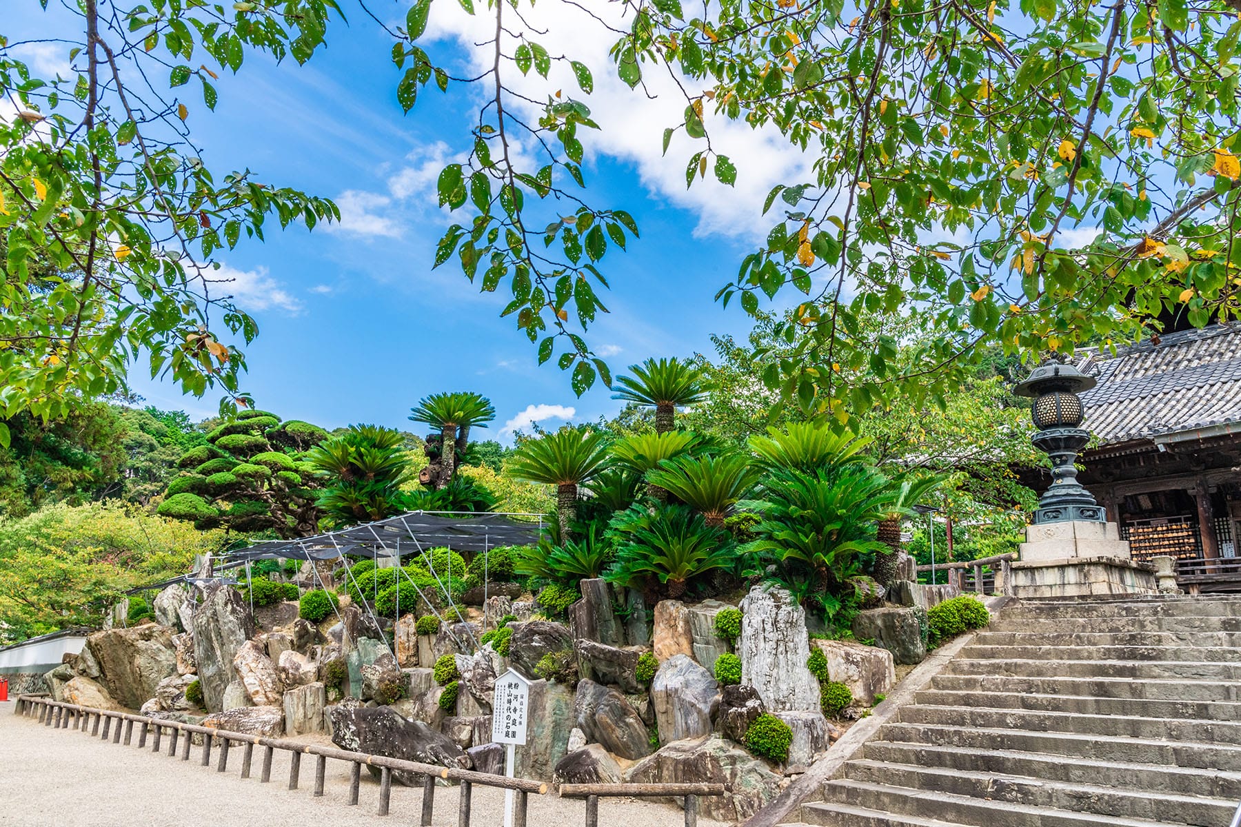 西国札所　第３番　【風猛山・粉河寺】