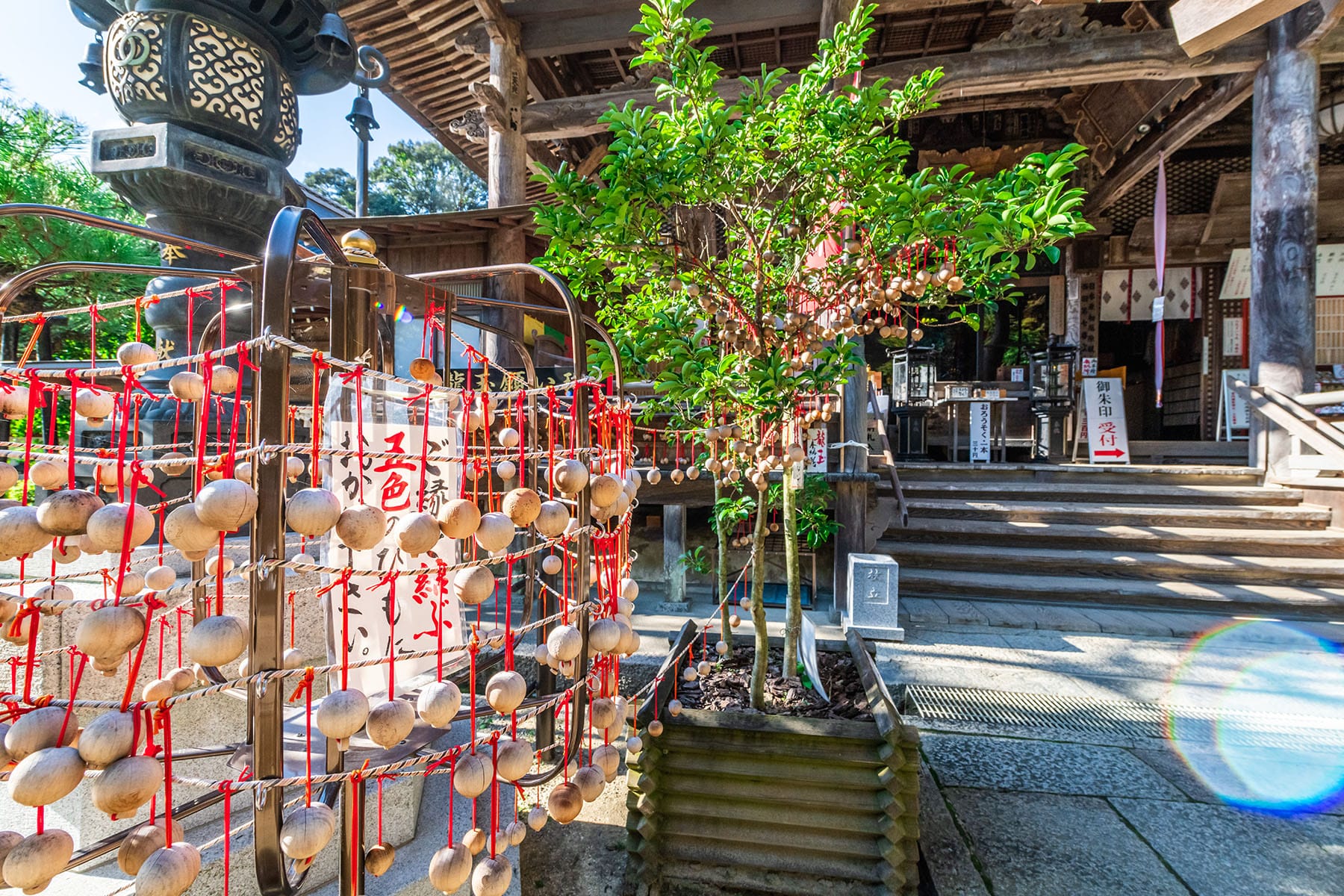 西国札所　第７番【東光山・岡寺（龍蓋寺）】 | フォトさいたま