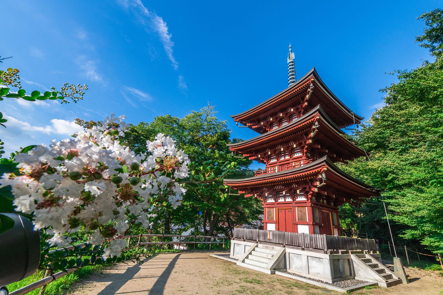 西国札所　第７番【東光山・岡寺（龍蓋寺）】 | フォトさいたま