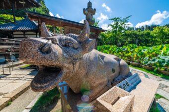 西国札所第１０番　三室戸寺