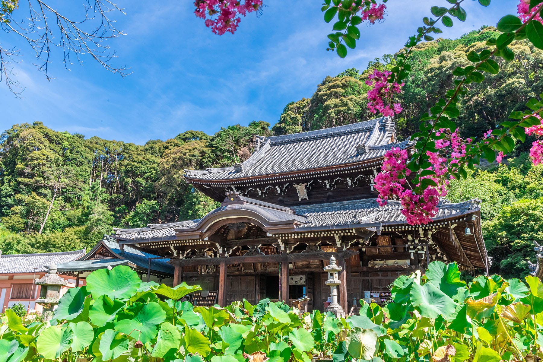 西国札所　第１０番【明星山・三室戸寺】 | フォトさいたま