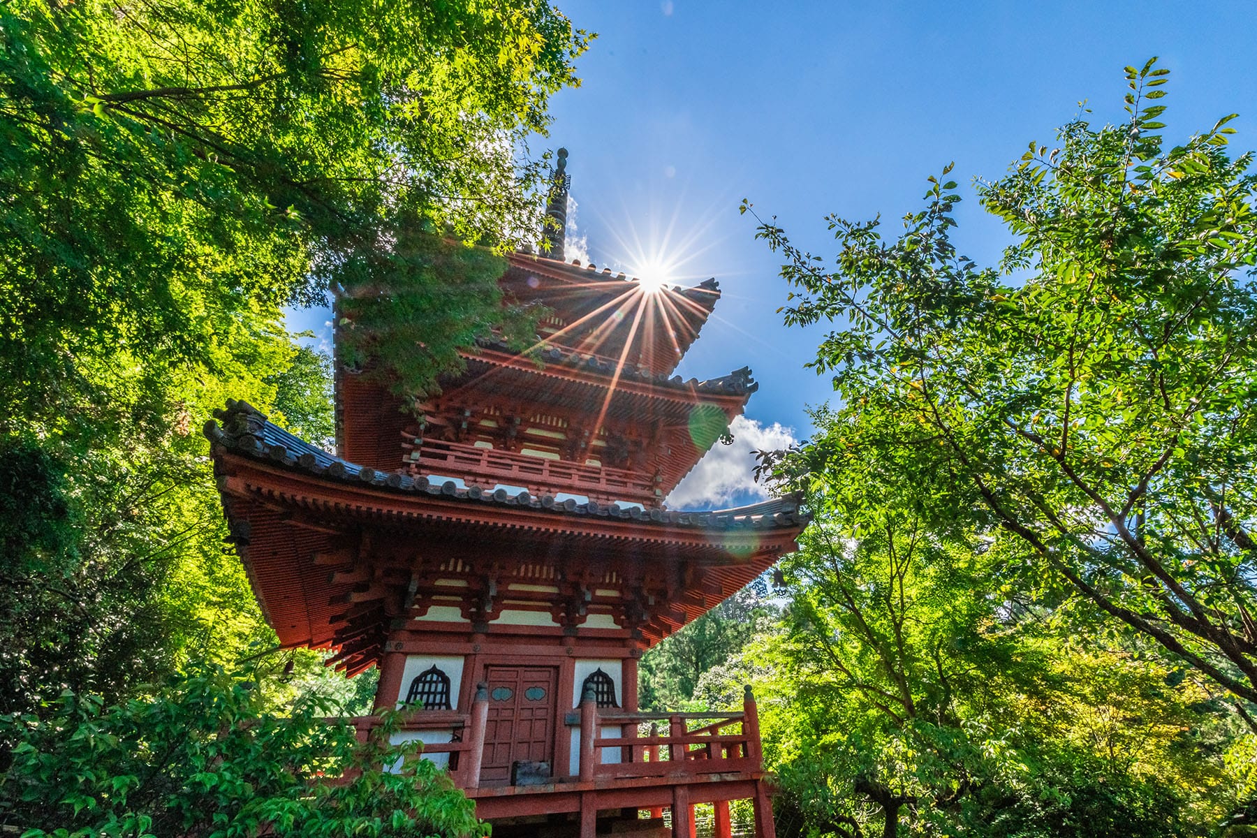 西国札所　第１０番【明星山・三室戸寺】 | フォトさいたま