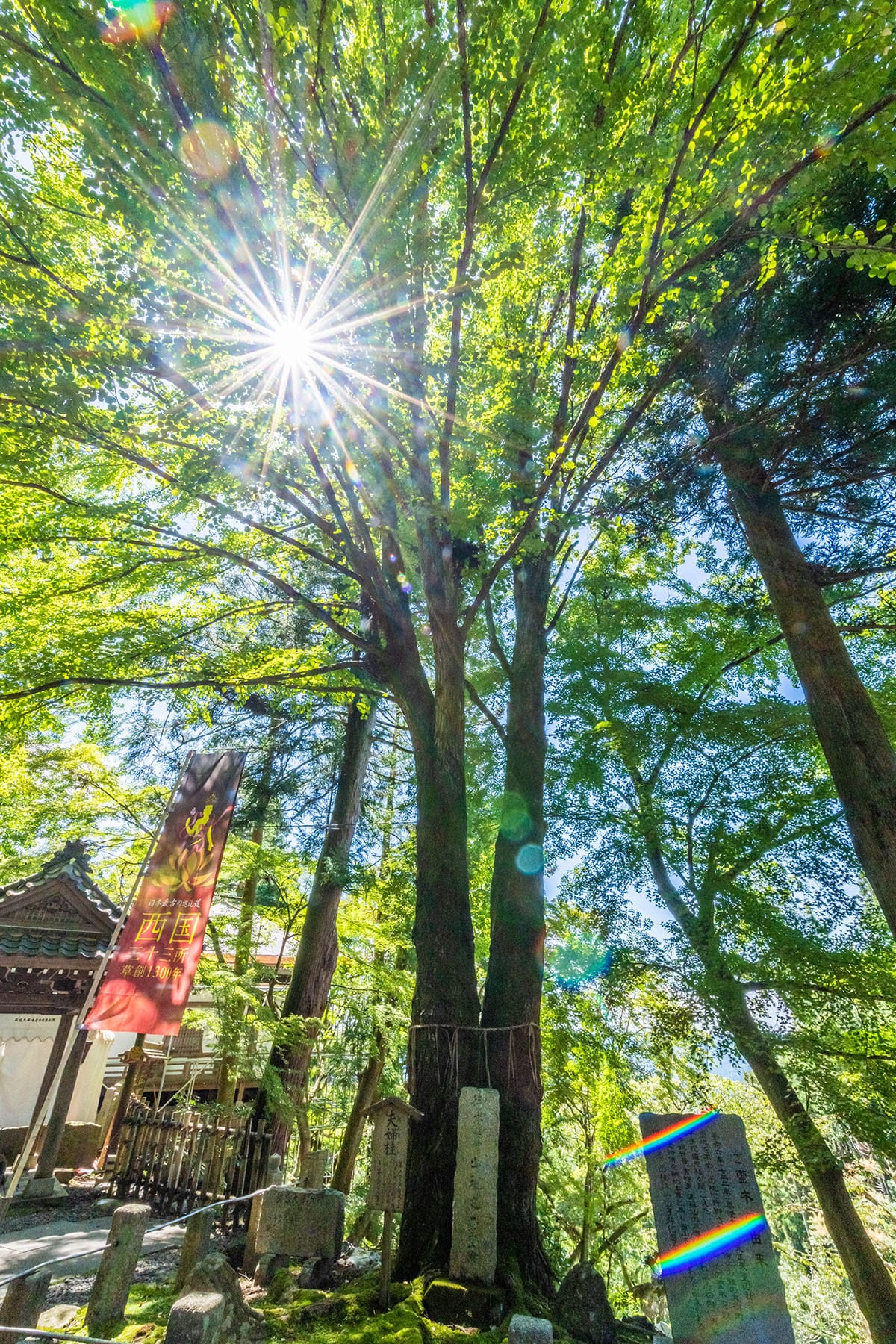 西国札所　第１２番【岩間山・正法寺（岩間寺）】 | フォトさいたま