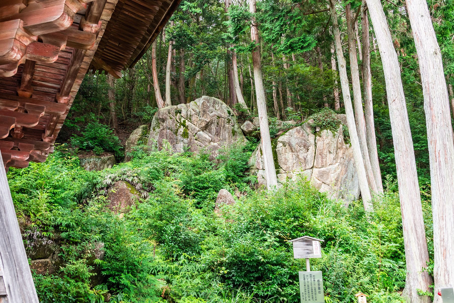 西国札所　第３１番【姨綺耶山・長命寺】 | フォトさいたま