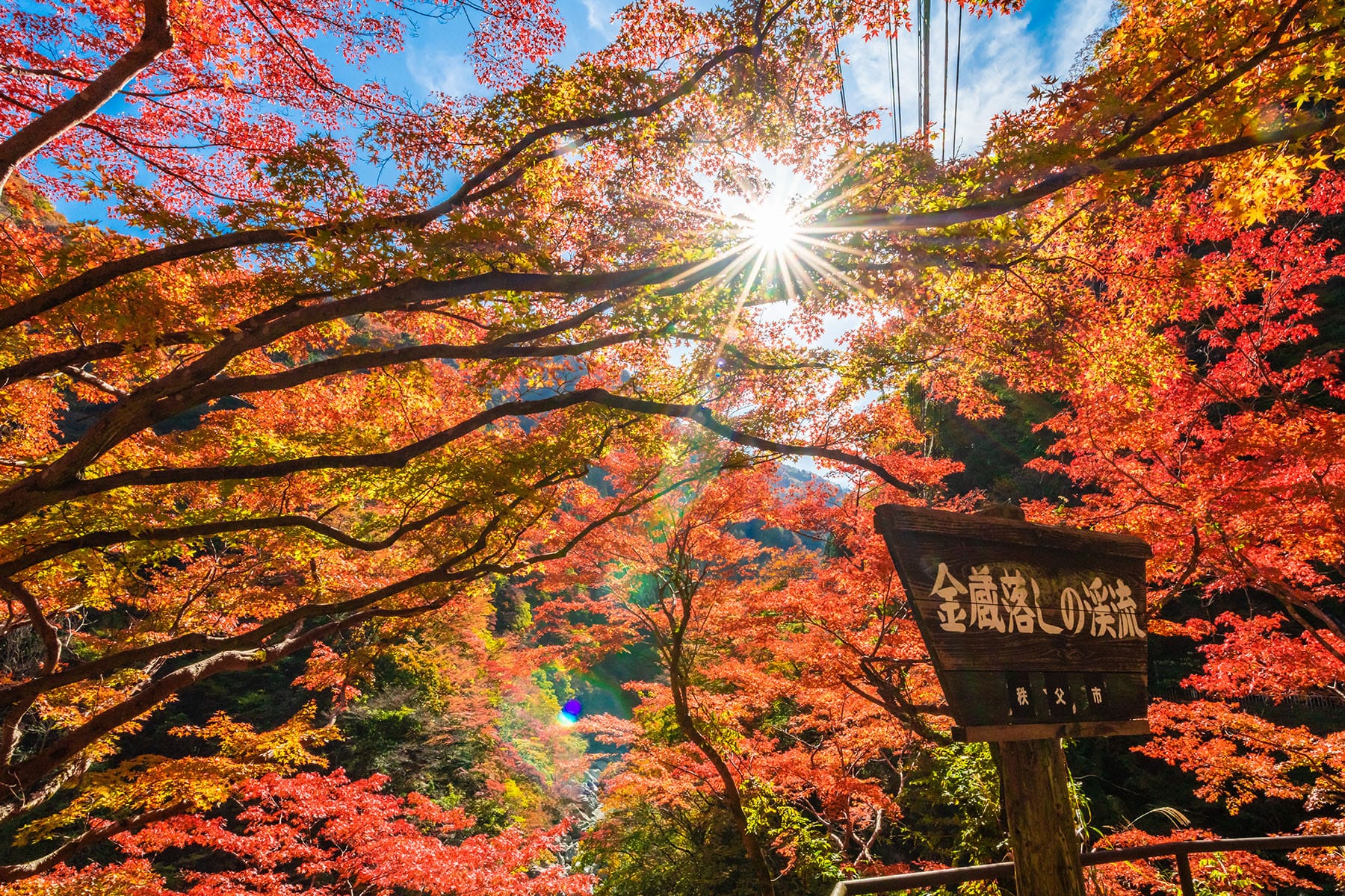 彩甲斐街道沿いの紅葉【大血川渓谷・三峰登竜渓付近｜埼玉県秩父市】