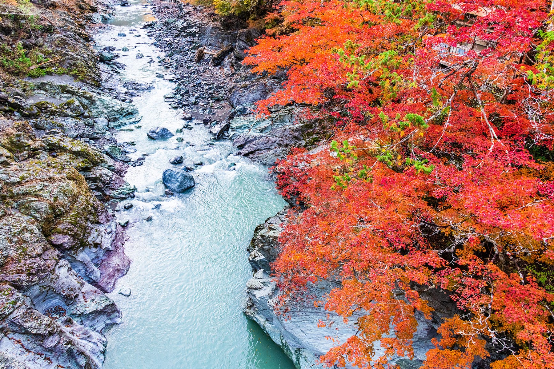 彩甲斐街道沿いの紅葉【大血川渓谷・三峰登竜渓付近｜埼玉県秩父市】