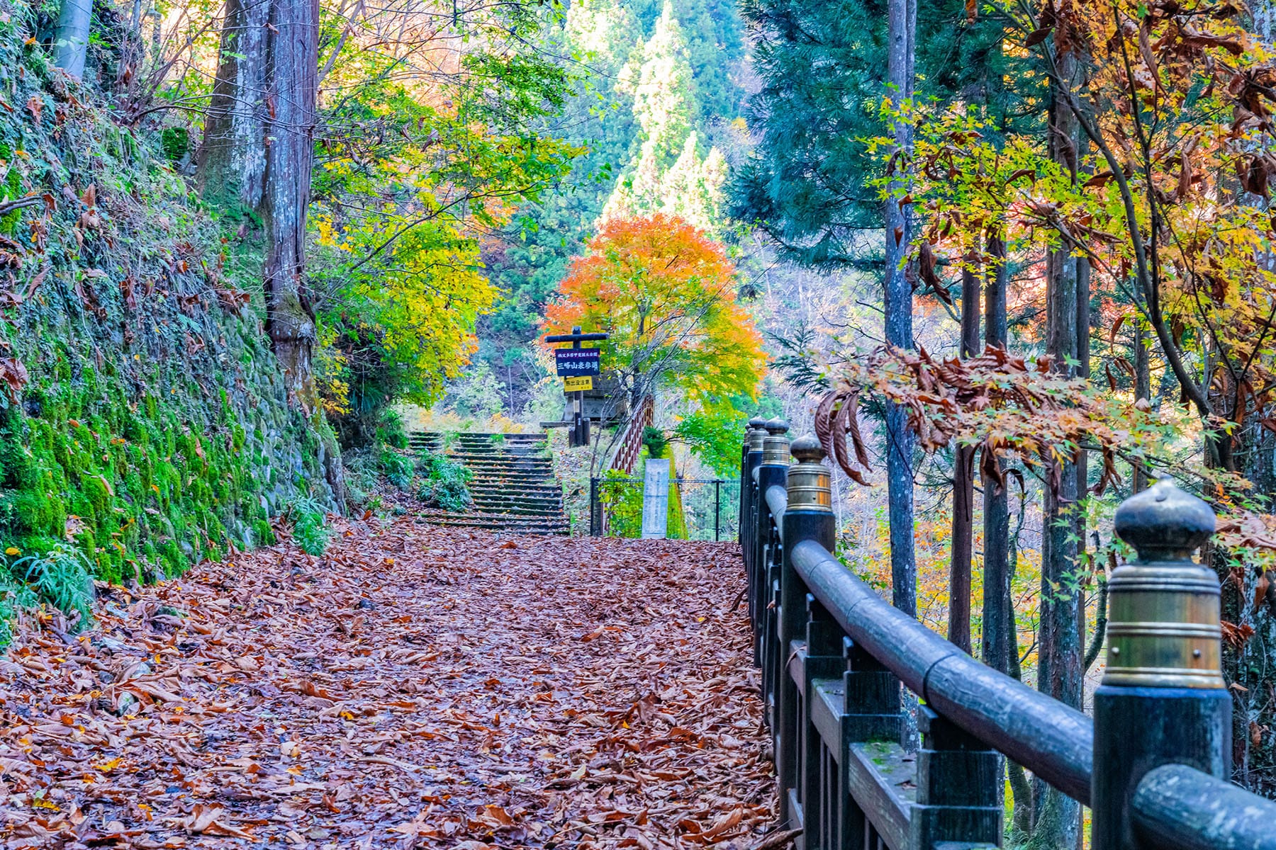 彩甲斐街道沿いの紅葉【大血川渓谷・三峰登竜渓付近｜埼玉県秩父市】