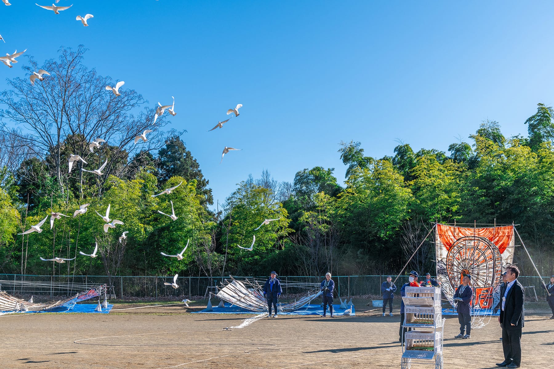 寄居大凧揚げ【寄居運動公園：埼玉県大里郡寄居町】