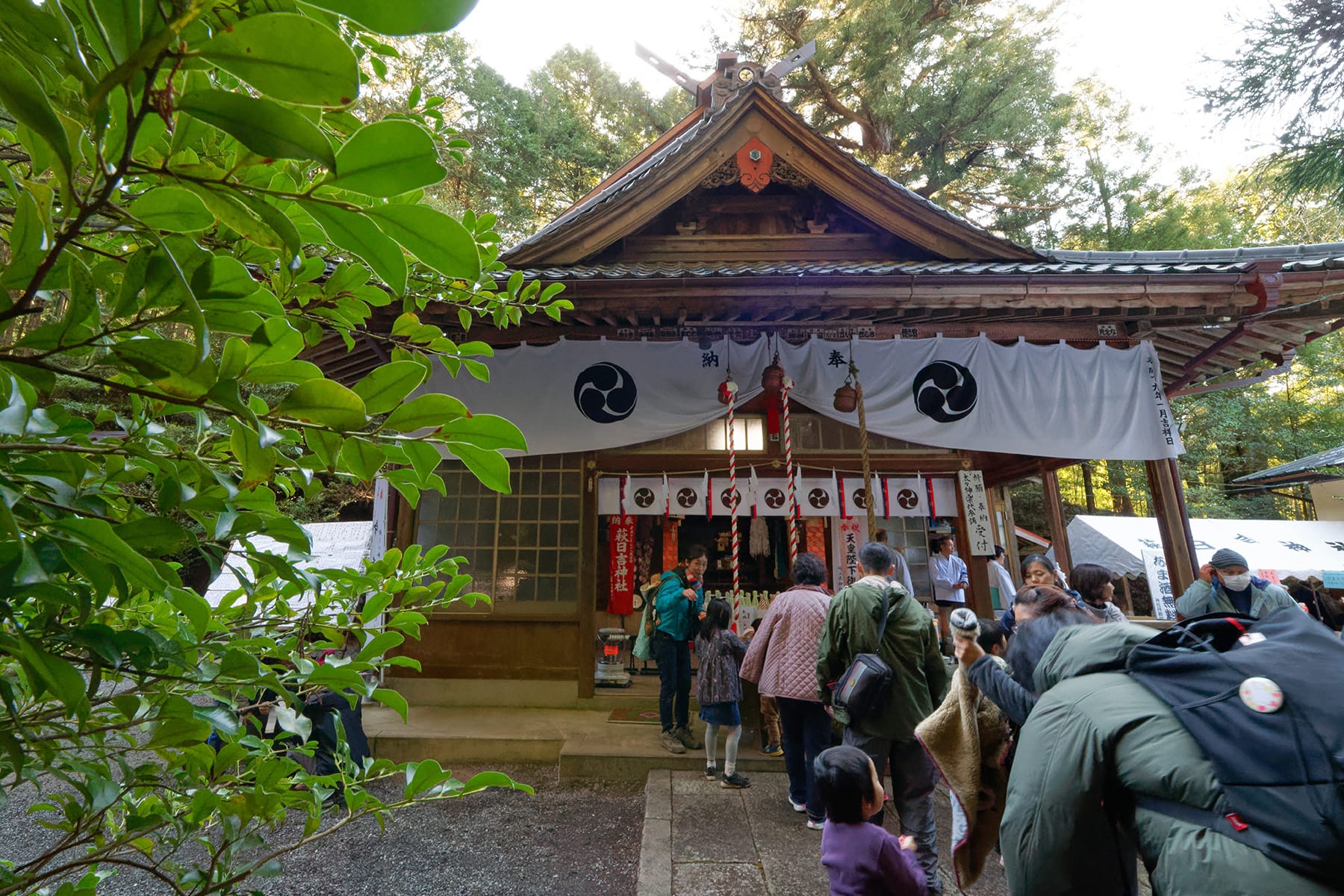 流鏑馬（やぶさめ）祭り【萩日吉神社｜埼玉県ときがわ町】