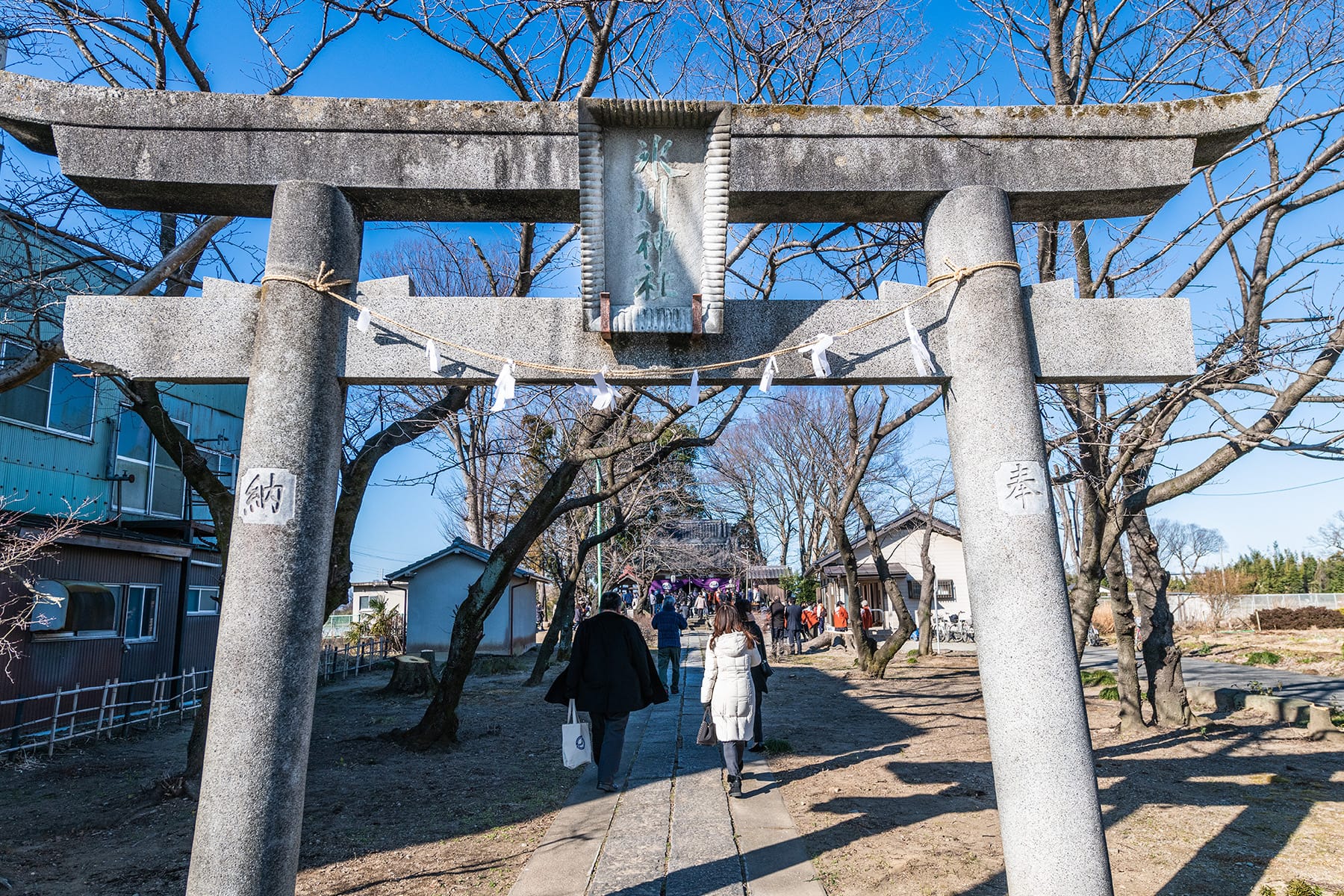 老袋の弓取式【下老袋 氷川神社｜埼玉県川越市】 | フォトさいたま