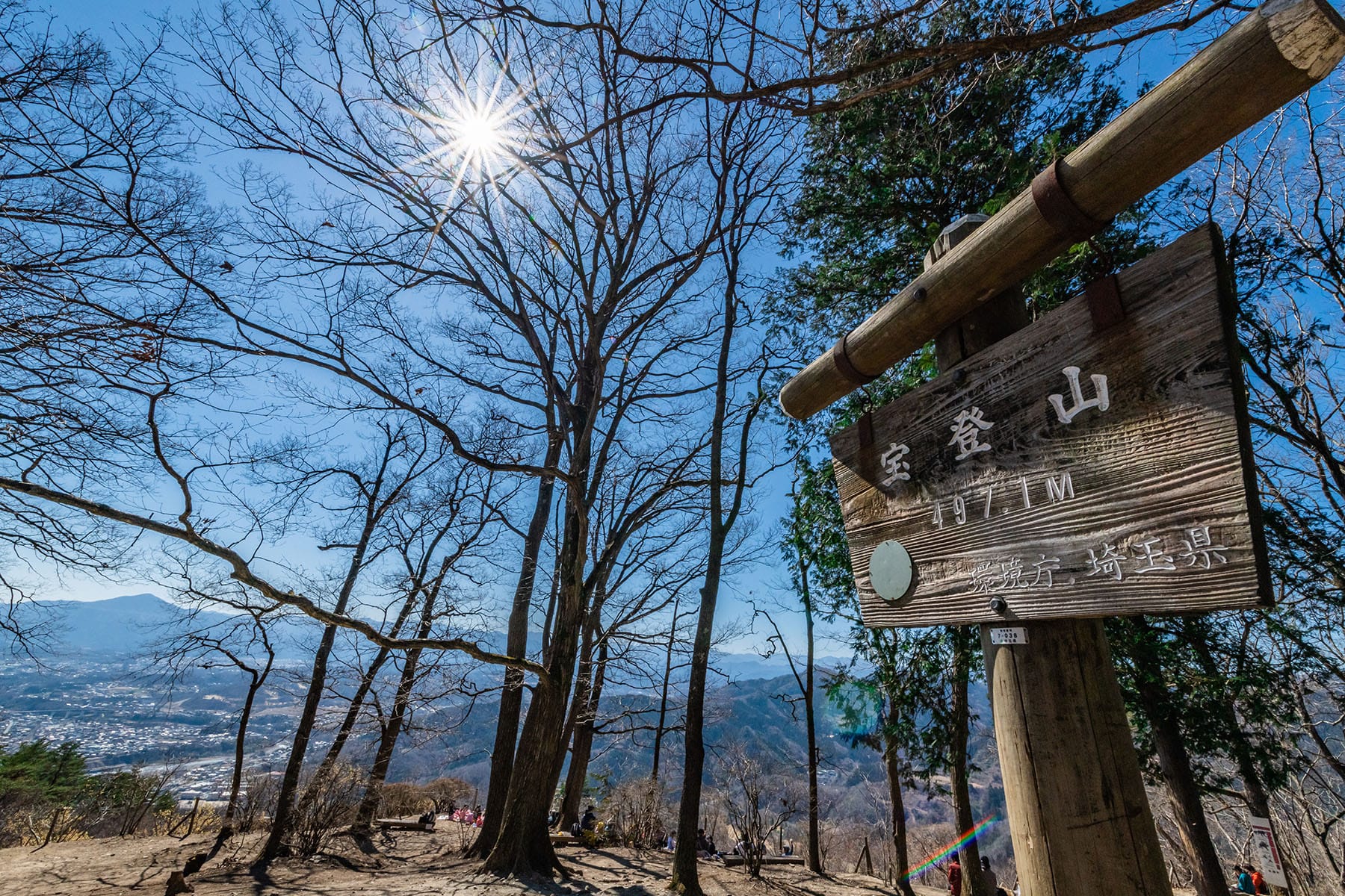 宝登山の梅林【長瀞・宝登山｜埼玉県秩父郡長瀞町】 | フォトさいたま