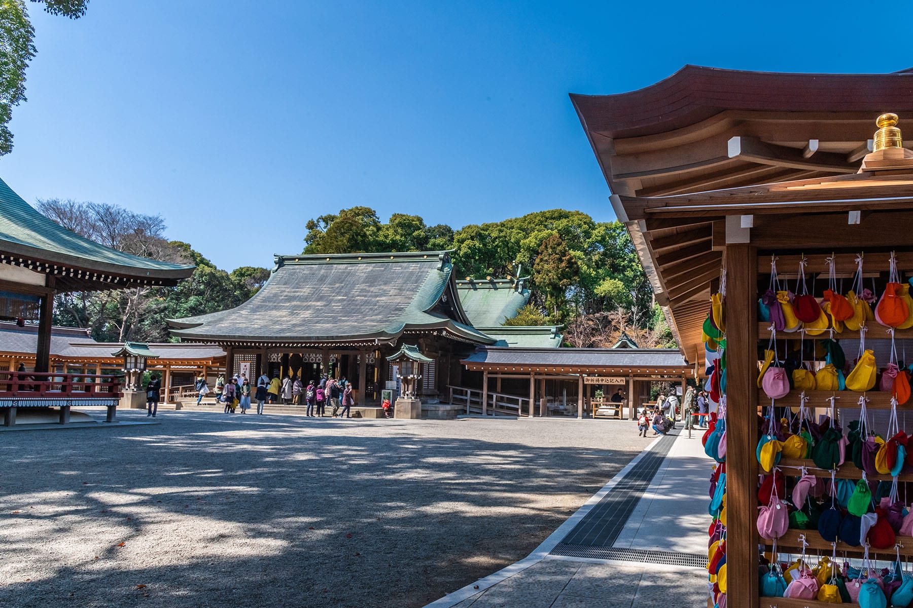 見沼田んぼの桜回廊【見沼田んぼ（全域）｜埼玉県さいたま市】 | フォトさいたま