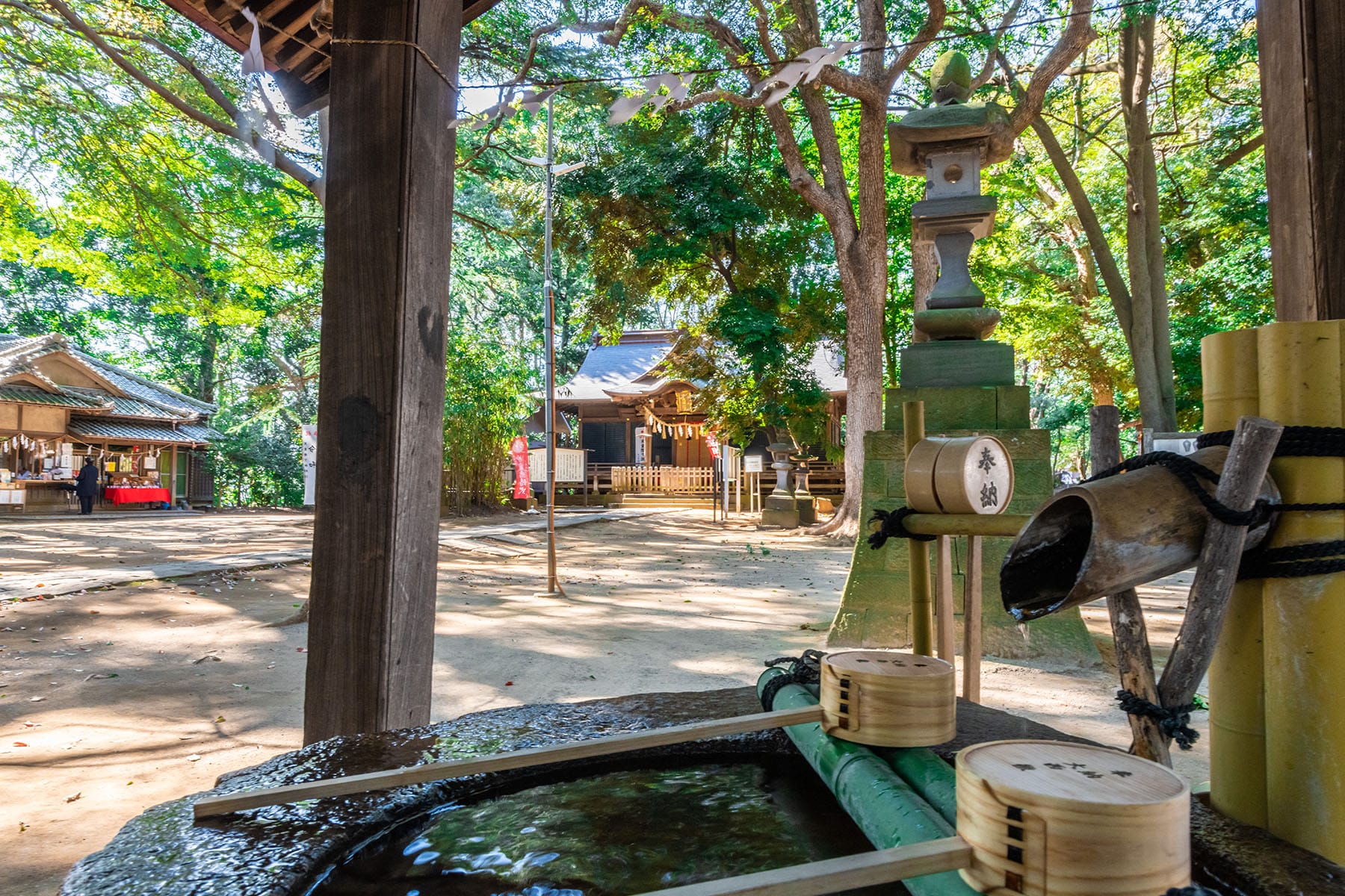 見沼田んぼの桜回廊【見沼田んぼ（全域）｜埼玉県さいたま市】 | フォトさいたま