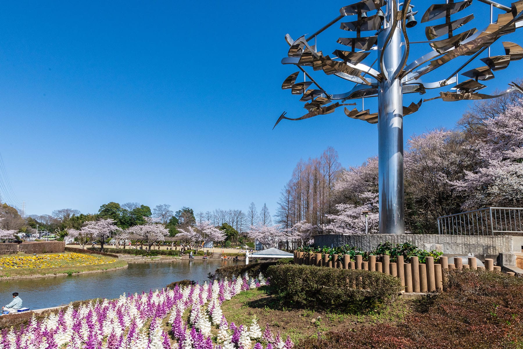 見沼田んぼの桜回廊【見沼田んぼ（全域）｜埼玉県さいたま市】 | フォトさいたま