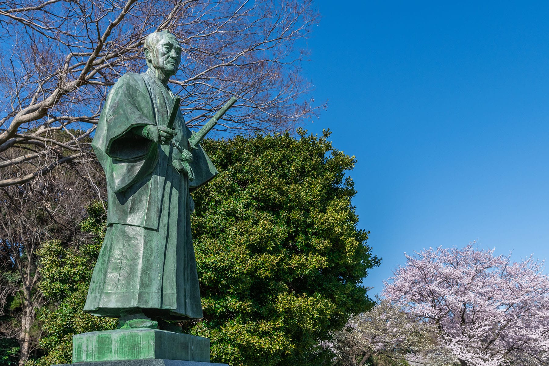 見沼田んぼの桜回廊【見沼田んぼ（全域）｜埼玉県さいたま市】 | フォトさいたま