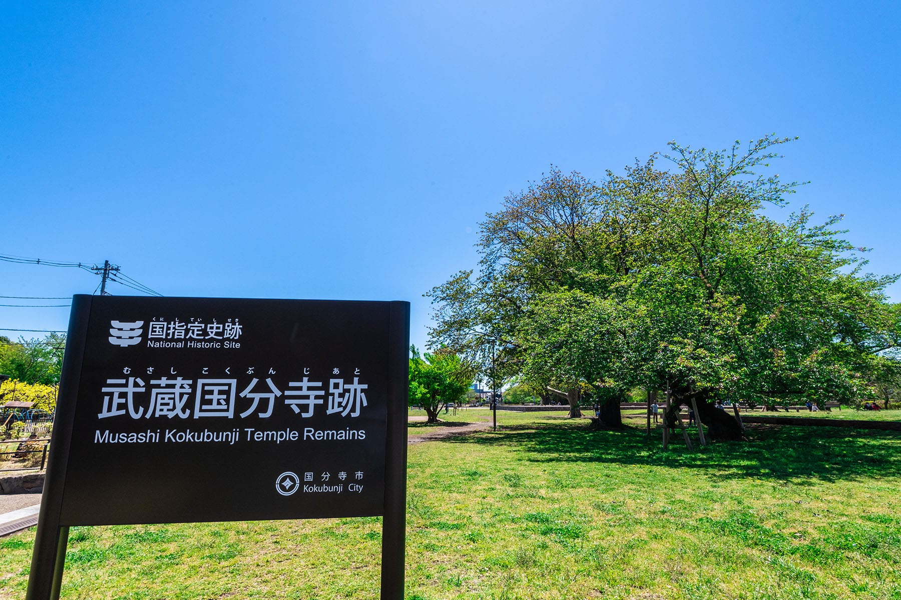 どこ 武蔵 国 武蔵国 川越藩